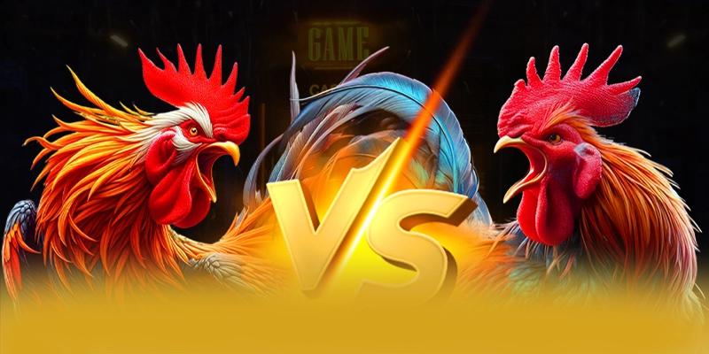 Hệ thống hỗ trợ người chơi tại 8XBET Hệ thống hỗ trợ người chơi tại 8XBET